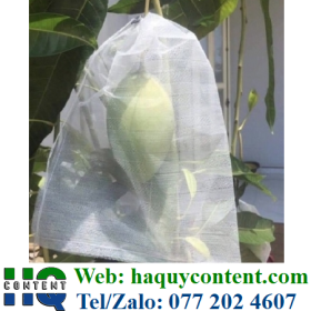 TÚI BAO XOÀI CÓ DÂY RÚT BÁN GIÁ SIÊU RẺ GIAO HÀNG TẬN NƠI