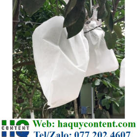 TÚI BỌC BƯỞI CHẤT LIỆU, QUY CÁCH, ĐÓNG GÓI, CÔNG DỤNG, GIÁ CẢ