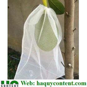 TÚI BỌC MÍT SIZE 50/60, 50/70