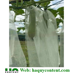 TÚI BỌC MƯỚP TRÁNH RÁM NẮNG, SÂU BỆNH GIÁ SIÊU RẺ