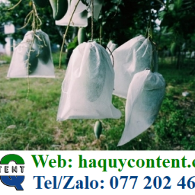 TÚI BỌC ỔI, XOÀI, MƯỚP GIÁ SỈ