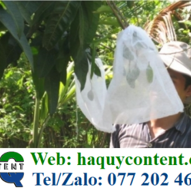 TÚI BỌC XOÀI CHẤT LIỆU, QUY CÁCH, ĐÓNG GÓI, CÔNG DỤNG, GIÁ CẢ