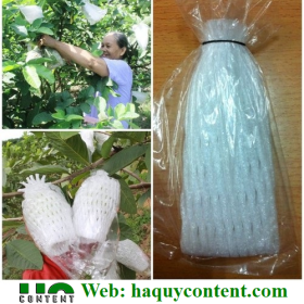 TÚI BÓNG LỒNG ỔI GIÁ CỰC RẺ PHÂN PHỐI TOÀN QUỐC