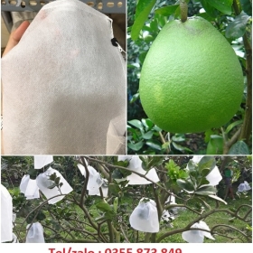 TÚI LƯỚI BỌC BƯỞI 30CM, X35CM BỌC BƯỞI, SHIP TẬN NƠI