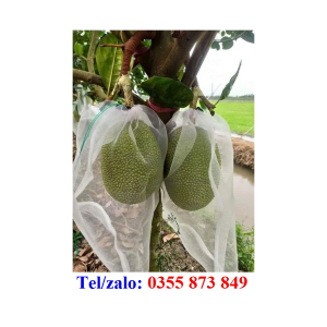 TÚI LƯỚI CƯỚC