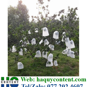 TÚI LƯỚI VẢI KHÔNG DỆT BỌC BƯỞI DA XANH