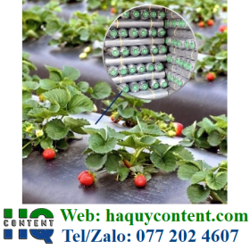 VẢI CHỐNG CỎ, BẠT CHE PHỦ LUỐNG CÂY GIÁ RẺ