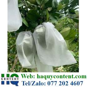 VẢI MÙNG DẠNG TÚI CÓ THẮT DÂY BAO BƯỞI DA XANH