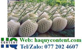 XỐP LƯỚI BỌC NA SIZE 16CM GIÁ RẺ