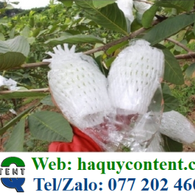 XỐP LƯỚI BỌC ỔI 22 CM GIÁ RẺ