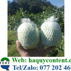 XỐP ỔI CHO NHÀ VƯỜN GIÁ CỰC RẺ GIAO TẬN NƠI