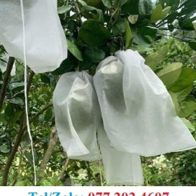 XƯỞNG SẢN XUẤT VÀ CUNG CẤP TÚI LƯỚI KHÔNG DỆT BAO BƯỞI