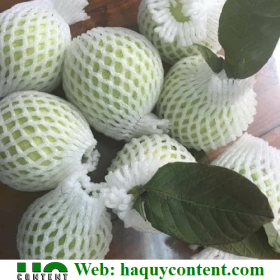 XƯỞNG SẢN XUẤT XỐP ỔI GIÁ TỐT TẠI ĐÂY